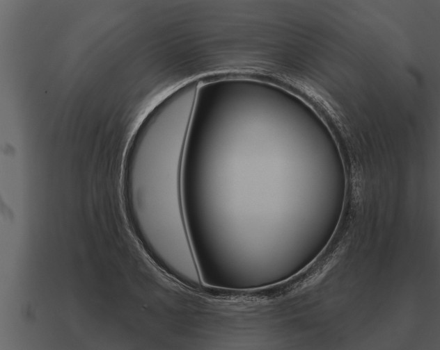 X0000091091077200708060954