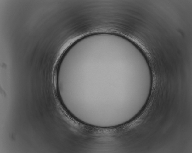 X0000091091078200708060954