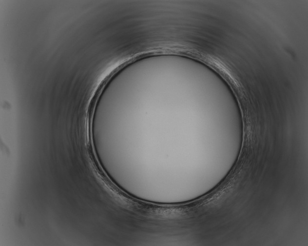 X0000091091079200708060954