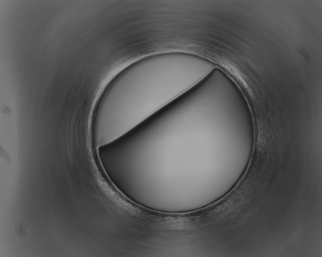 X0000091091080200708060954