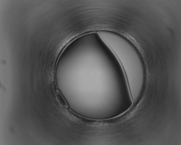 X0000091091081200708060954