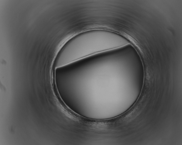 X0000091091082200708060954