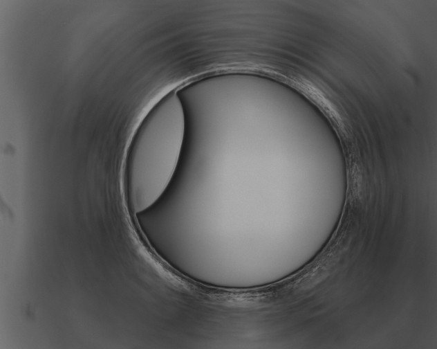 X0000091091084200708060954