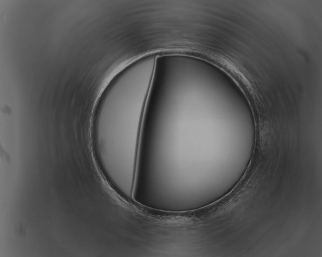 X0000091091085200708060954