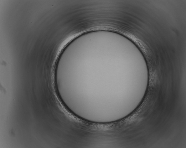 X0000091091086200708060954