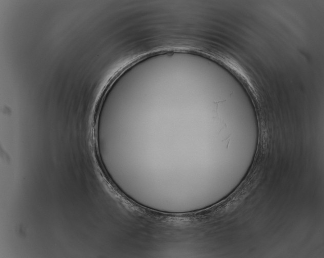 X0000091091088200708060954