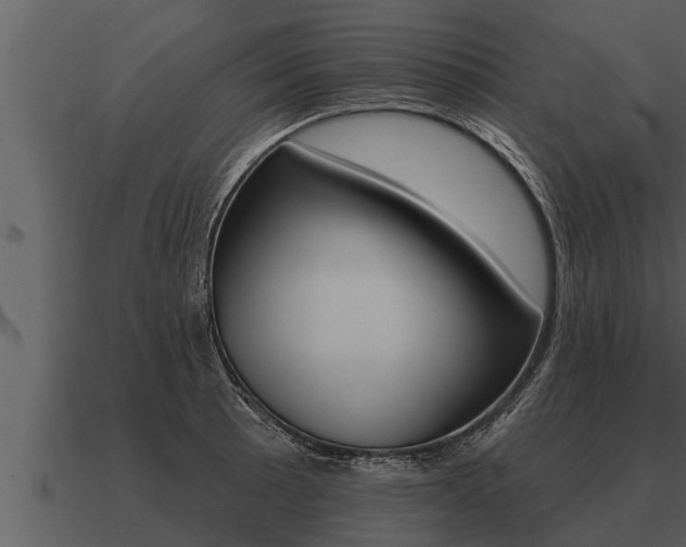 X0000091091089200708060954