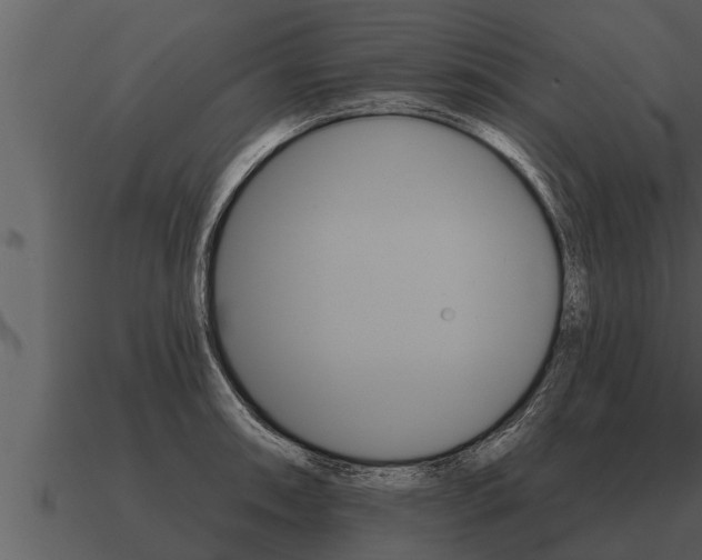 X0000091091090200708060954
