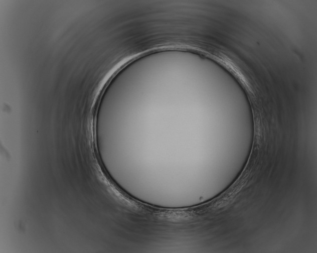 X0000091091092200708060954