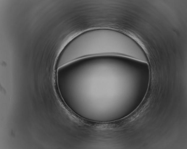 X0000091091093200708060954