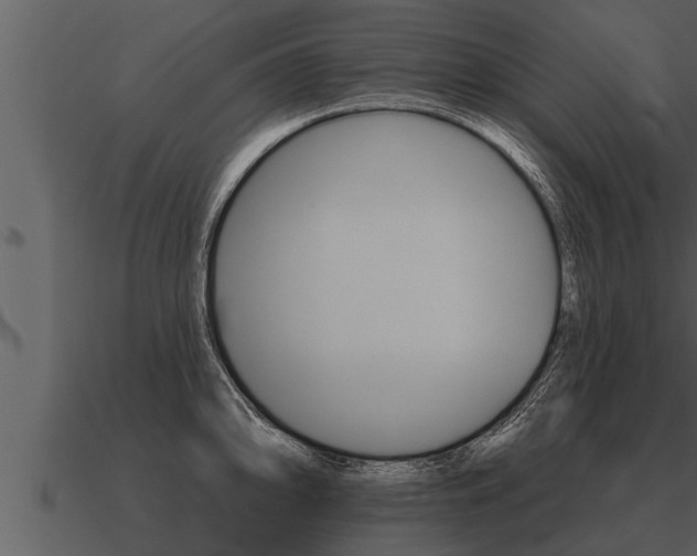 X0000091091094200708060954