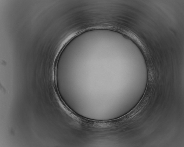 X0000091091095200708060954