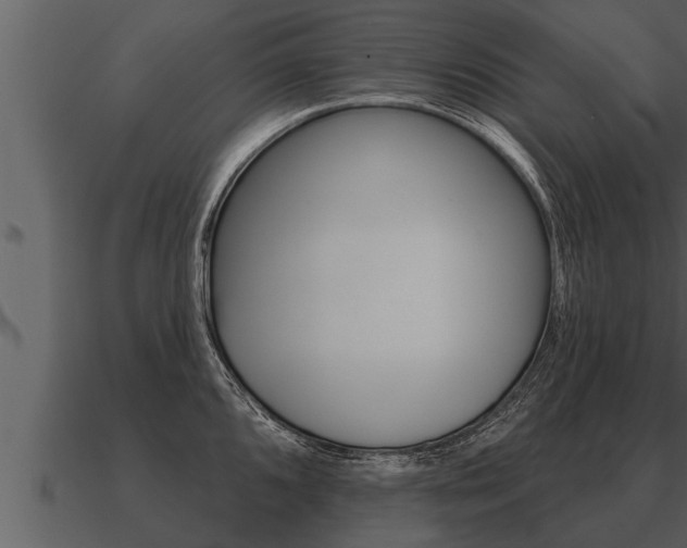 X0000091091096200708060954