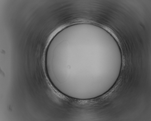 X0000091091098200708060953