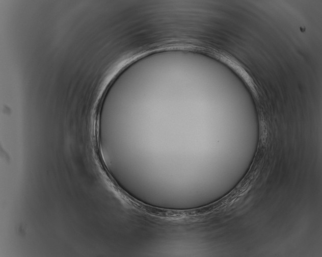 X0000091091099200708060953