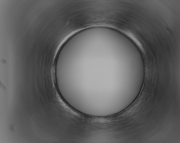X0000091091100200708060953