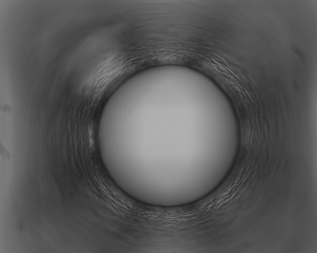 X0000091091106200708060953