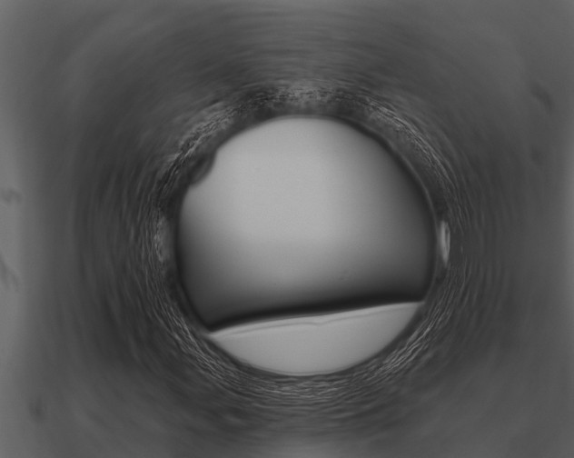 X0000091091107200708060953