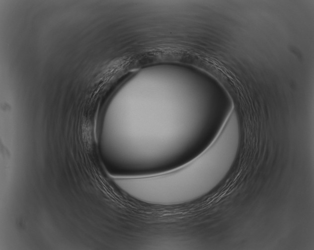 X0000091091108200708060953