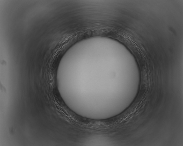 X0000091091109200708060953