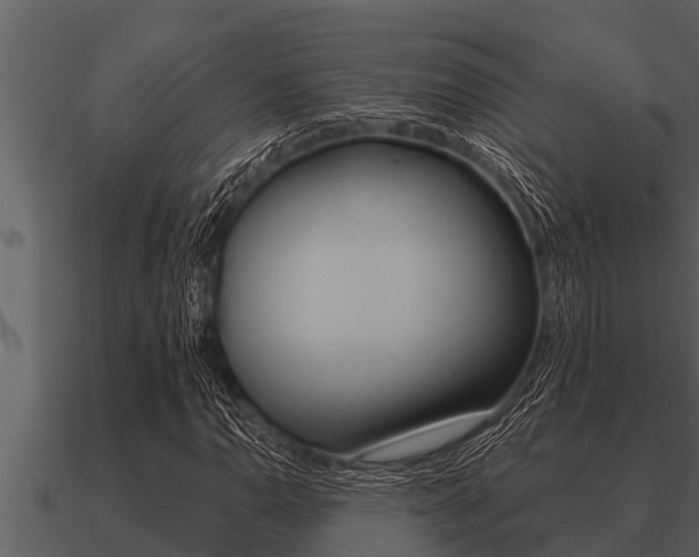 X0000091091110200708060953