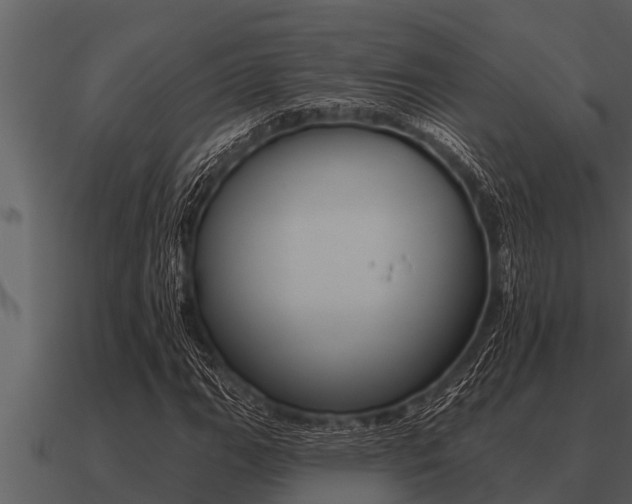 X0000091091111200708060953