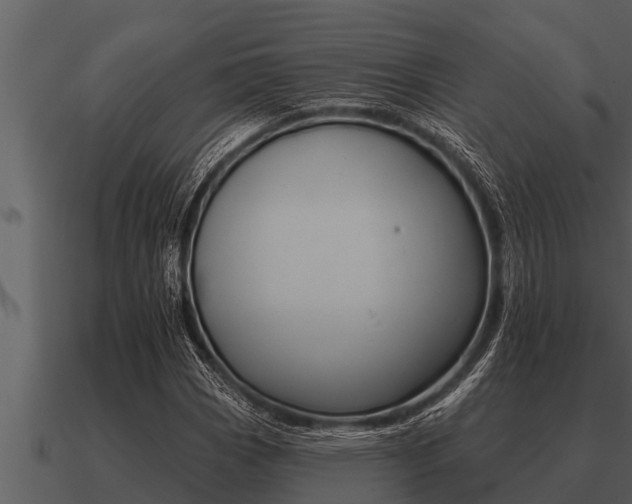 X0000091091113200708060953