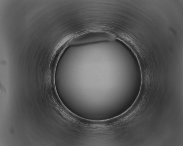 X0000091091114200708060953