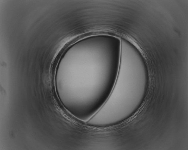 X0000091091116200708060953