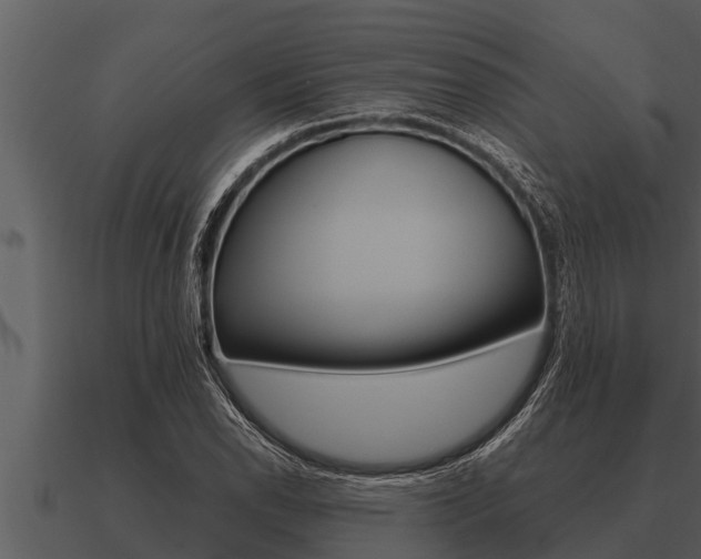 X0000091091118200708060953