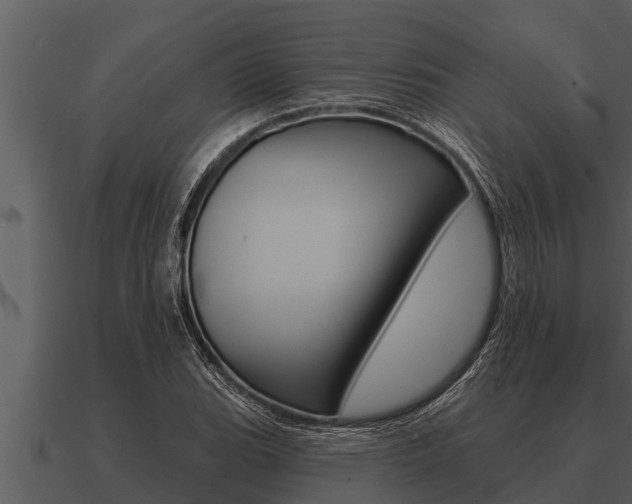 X0000091091119200708060953