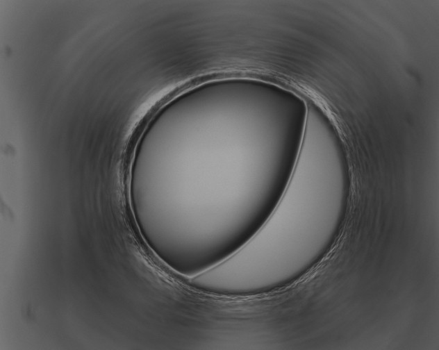 X0000091091120200708060953