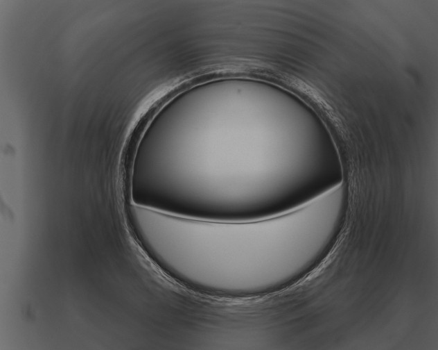 X0000091091122200708060953