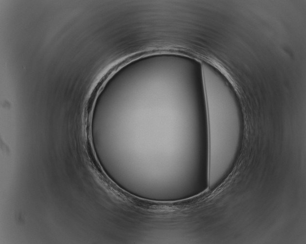 X0000091091124200708060953