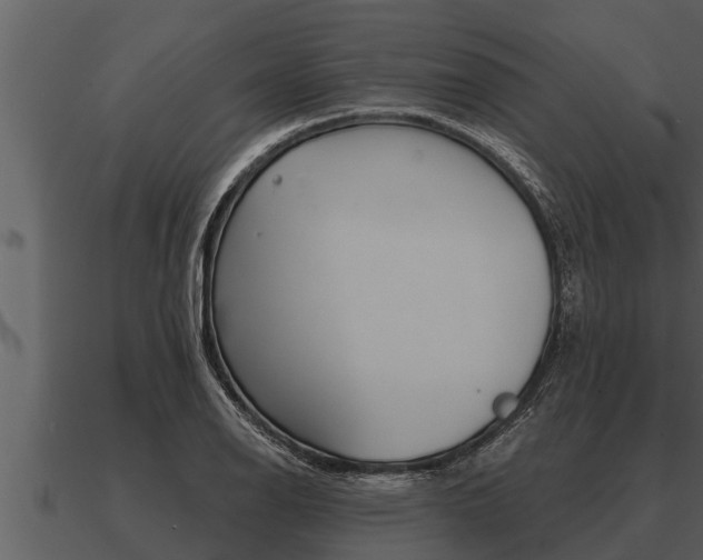 X0000091091126200708060953