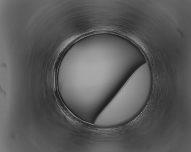 X0000091091127200708060953