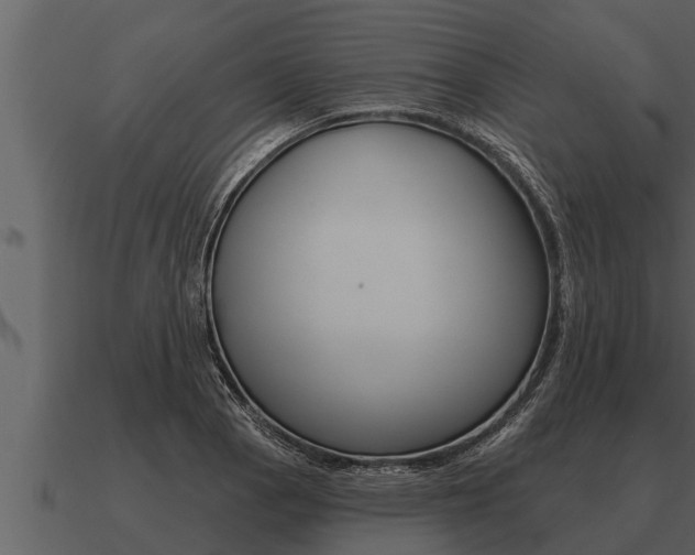 X0000091091129200708060953