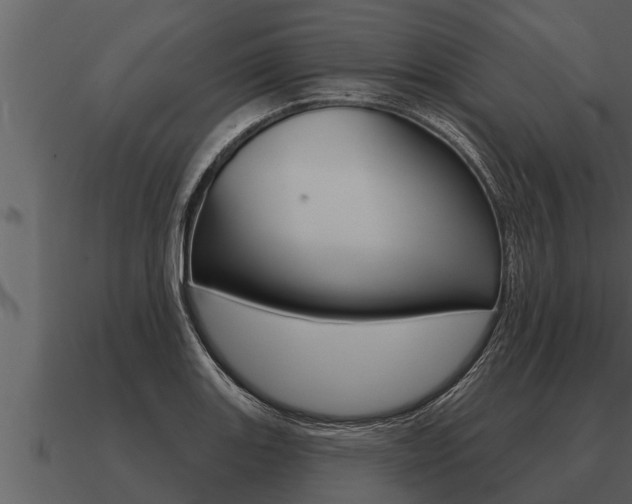 X0000091091131200708060953