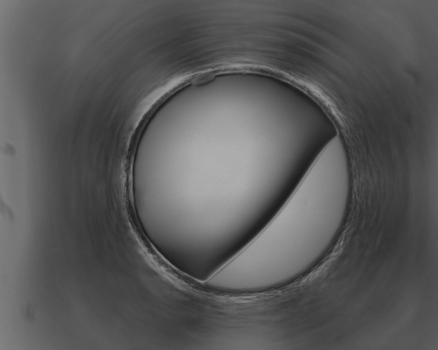X0000091091134200708060953