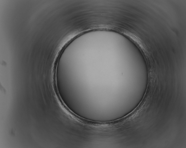X0000091091135200708060953
