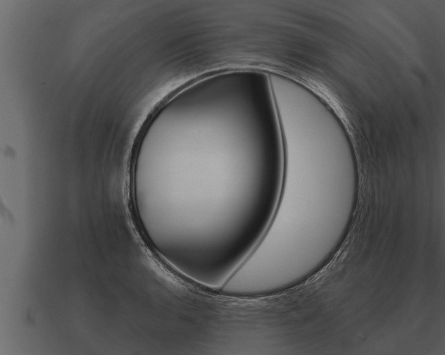 X0000091091136200708060953