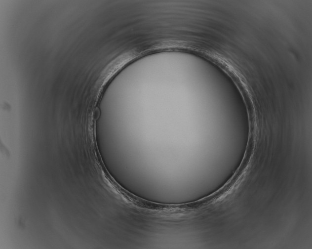 X0000091091137200708060953