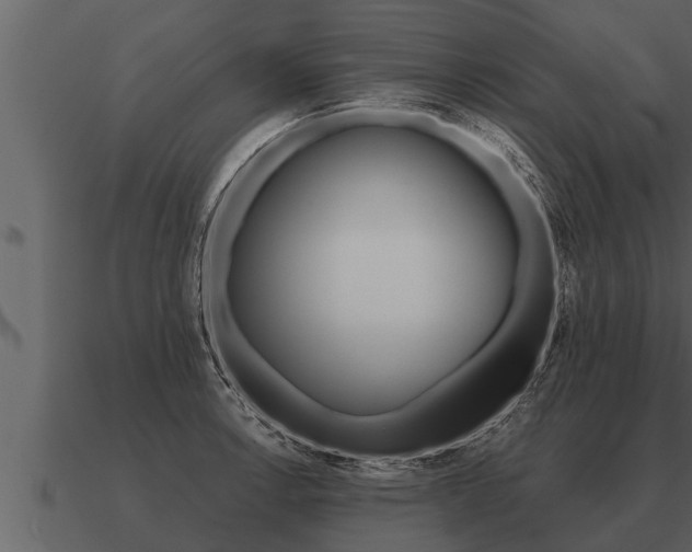 X0000091091138200708060953