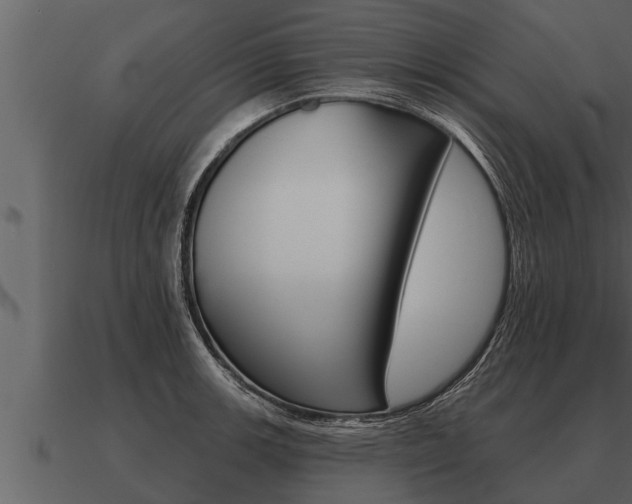 X0000091091139200708060953
