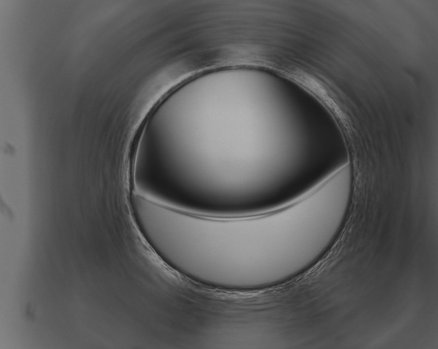 X0000091091140200708060953