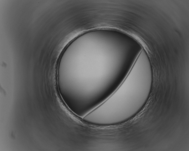 X0000091091142200708060953