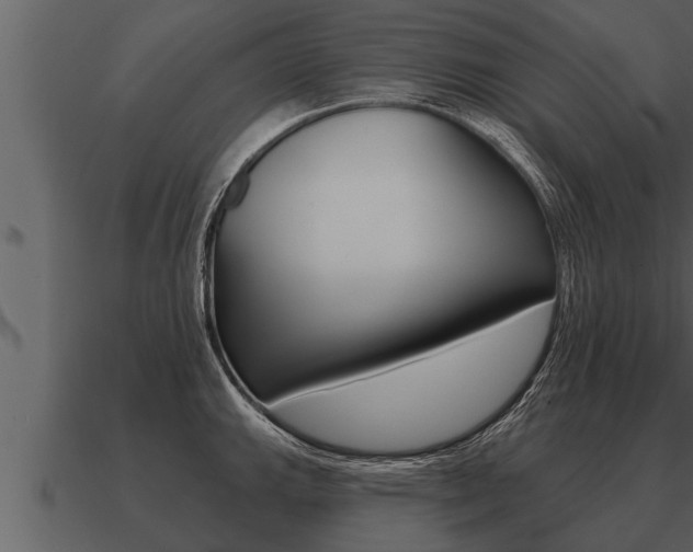 X0000091091143200708060953