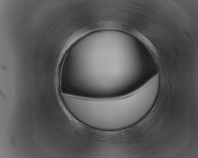 X0000091091144200708060953