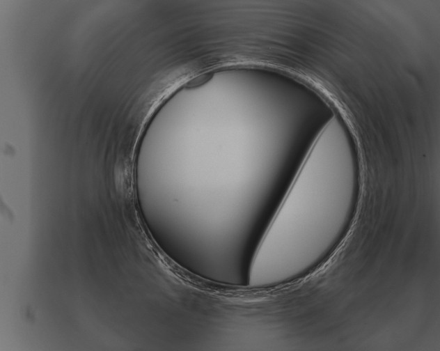 X0000091091145200708060953