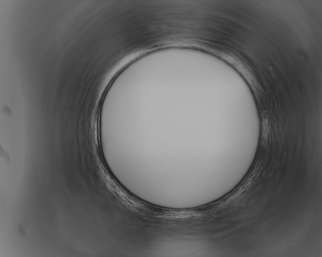 X0000091091150200708060953